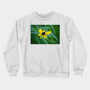 Daisy Crewneck Sweatshirt